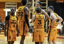 Pas sqarimit me BAT-in, Peja zyrtarizon dy transfere të reja